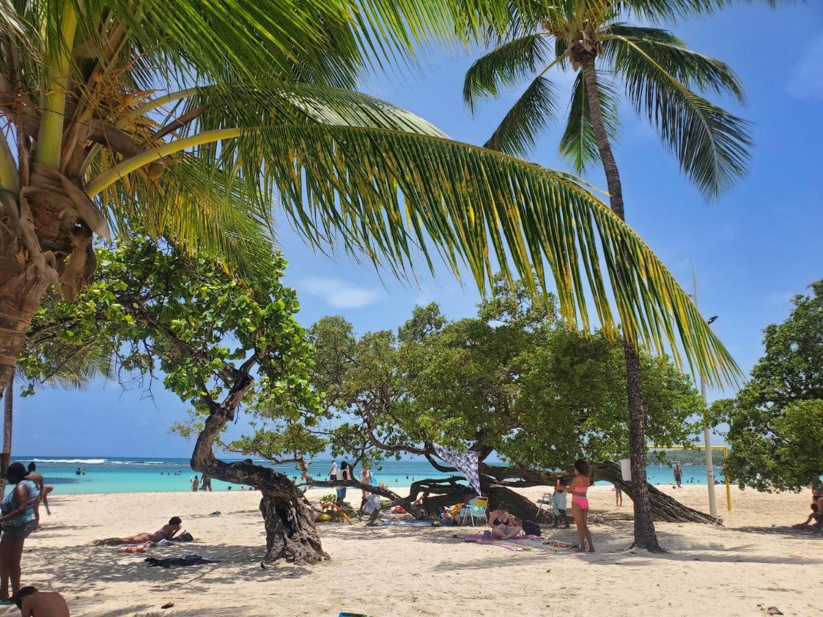 Villa L'Anjou Creole A Sainte Anne En Guadeloupe Avec Piscine Privee Et 2 Chambres Pour 4 Personnes Ngoại thất bức ảnh