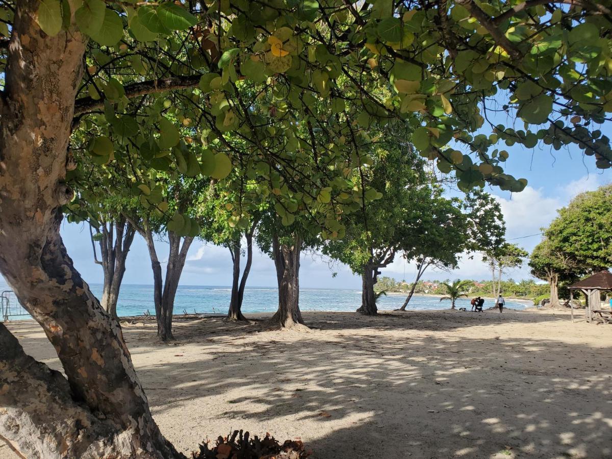Villa L'Anjou Creole A Sainte Anne En Guadeloupe Avec Piscine Privee Et 2 Chambres Pour 4 Personnes Ngoại thất bức ảnh