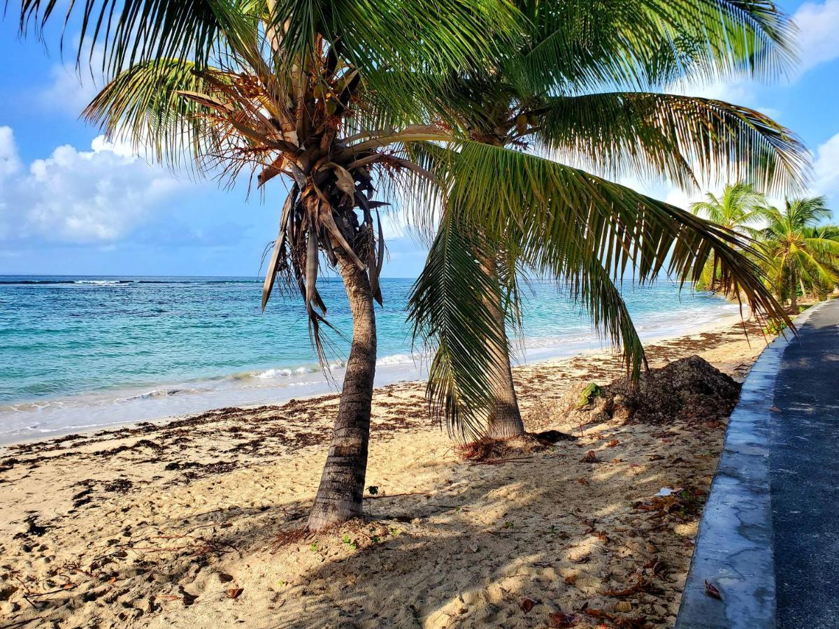 Villa L'Anjou Creole A Sainte Anne En Guadeloupe Avec Piscine Privee Et 2 Chambres Pour 4 Personnes Ngoại thất bức ảnh
