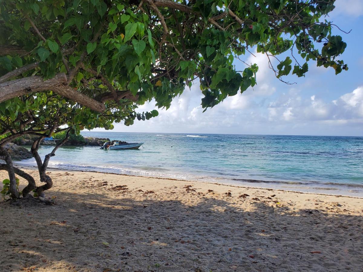 Villa L'Anjou Creole A Sainte Anne En Guadeloupe Avec Piscine Privee Et 2 Chambres Pour 4 Personnes Ngoại thất bức ảnh
