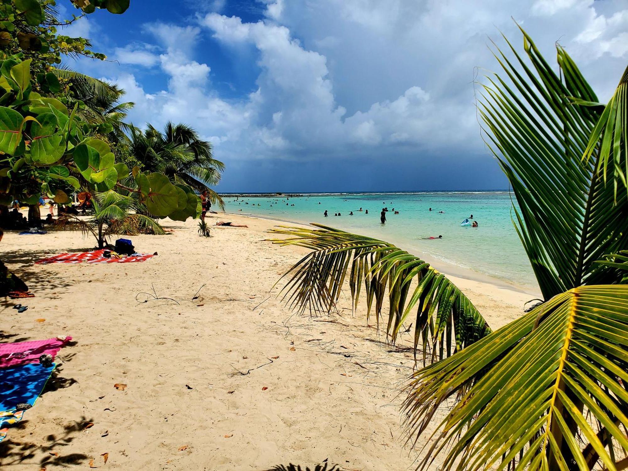 Villa L'Anjou Creole A Sainte Anne En Guadeloupe Avec Piscine Privee Et 2 Chambres Pour 4 Personnes Ngoại thất bức ảnh